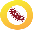 Immune-stimulatory agent without antigen