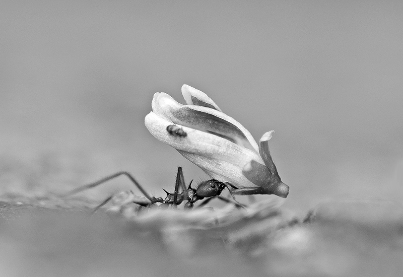 Kupando Secures Additional €10 Million